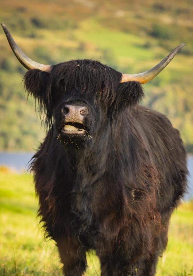 Loch Ness Cottage Fort Augustus Dış mekan fotoğraf